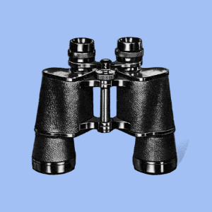 Identifying a research focus Identifying a research focus