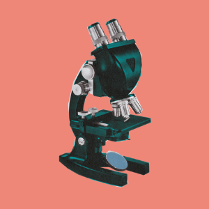 Planning to gather data Planning to gather data