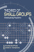 Theories of Small Groups