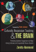 Culturally Responsive Teaching and The Brain