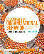 Essentials of Organizational Behavior - International Student Edition