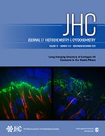 Journal of Histochemistry & Cytochemistry